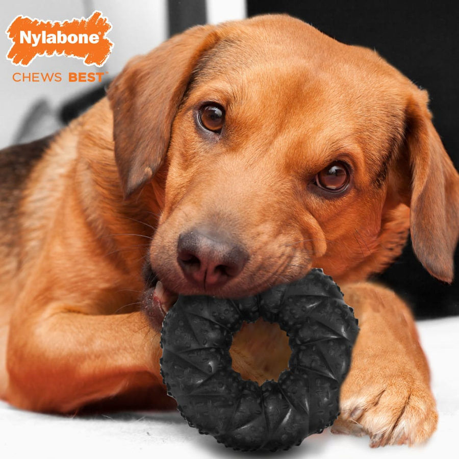 Nylabone Strong Max Braided Chew Anel Mordedor Resistente com Sabor a Carne para c&atilde;es, , large Imagem n&uacute;mero 2