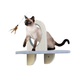 All For Paws Groom & Play Plataform Brinquedo para gatos 