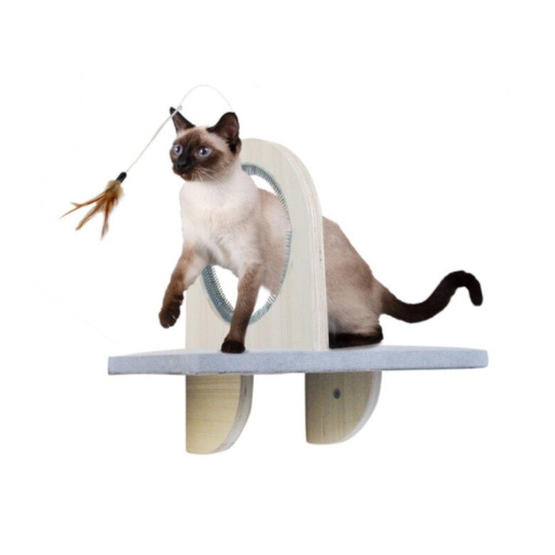 All For Paws Groom & Play Plataform Brinquedo para gatos ,  Imagem número 1 All For Paws Groom & Play Plataform Brinquedo para gatos , , large Imagem número 1