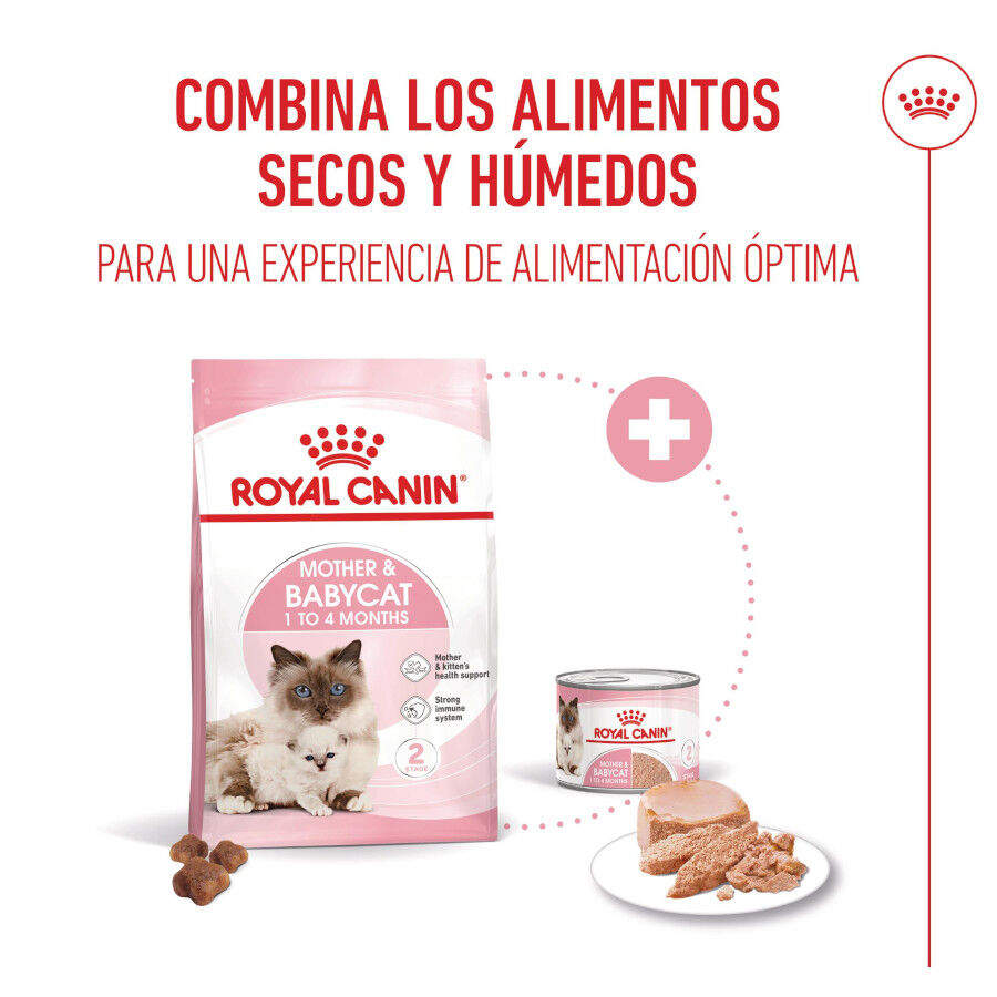195 g Royal Canin Mother Baby mousse latas para gatos, , large Imagem n&uacute;mero 5