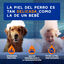 Ceva Douxo Spa 2 em 1 Shampoo Detangler Cão, , large Indicador imagem número 8