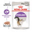 85 g Royal Canin Sterilised patê em saquetas para gatos, , large Indicador imagem número 2