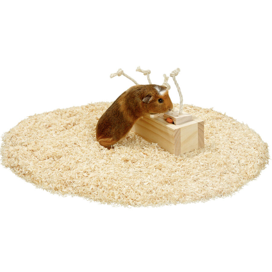 Flamingo Brain train Rody Armario Juguete con cuerda para roedores, , large Imagem n&uacute;mero 2