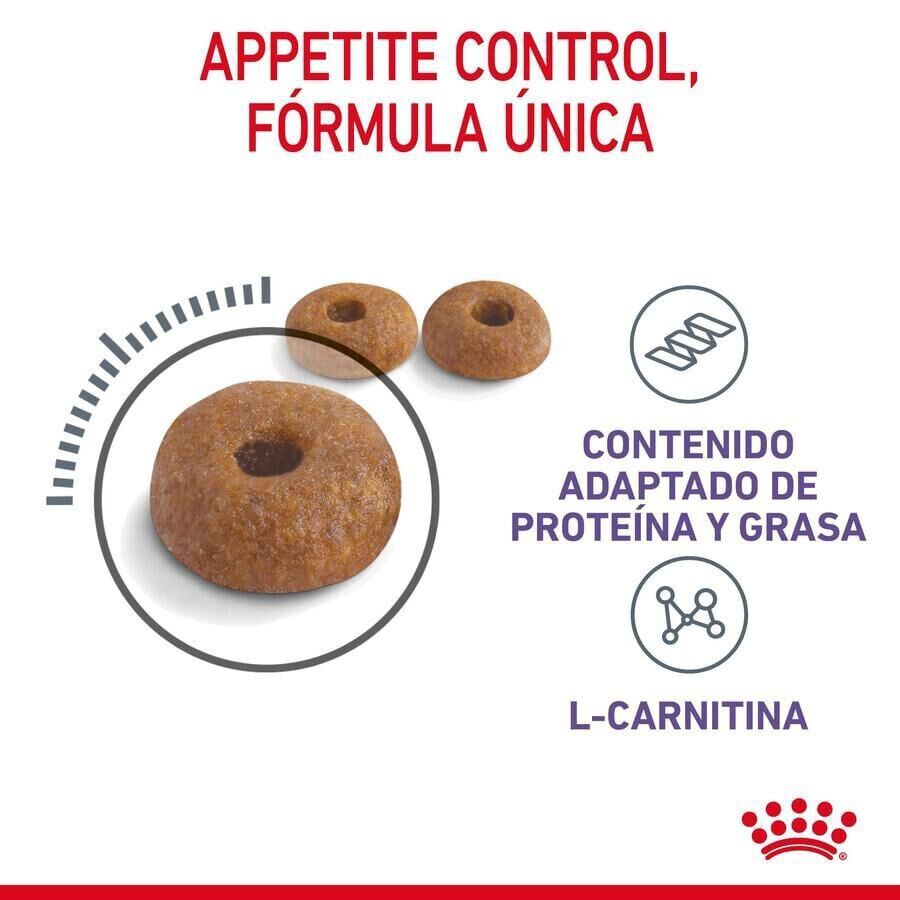 400 g Royal Canin Appetite Control Care ra&ccedil;&atilde;o para gatos , , large Imagem n&uacute;mero 7