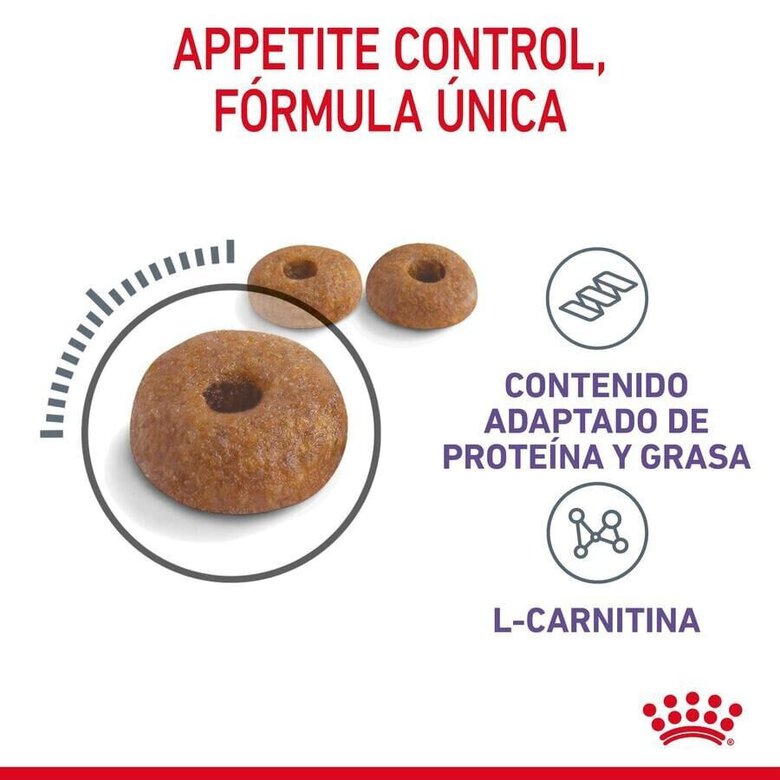 10 kg Royal Canin Appetite Control Care ração para gatos ,  Imagem número 7 10 kg Royal Canin Appetite Control Care ração para gatos , , large Imagem número 7