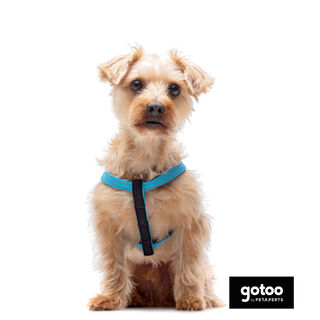 Gotoo Peitoral azul de nylon refletor para cães
