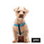 Gotoo Peitoral azul de nylon refletor para cães, , large Indicador imagem número 3