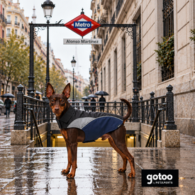 Gotoo Capa de Chuva Refletora Azul-Acinzentada para c&atilde;es