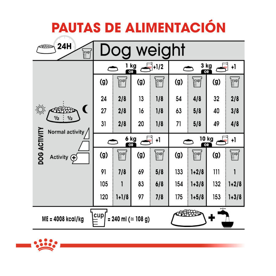 Royal Canin Dermacomfort Mini ra&ccedil;&atilde;o para c&atilde;es, , large Imagem n&uacute;mero 8