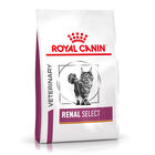 Royal Canin Veterinary Renal Select ração para gatos , , large image number null