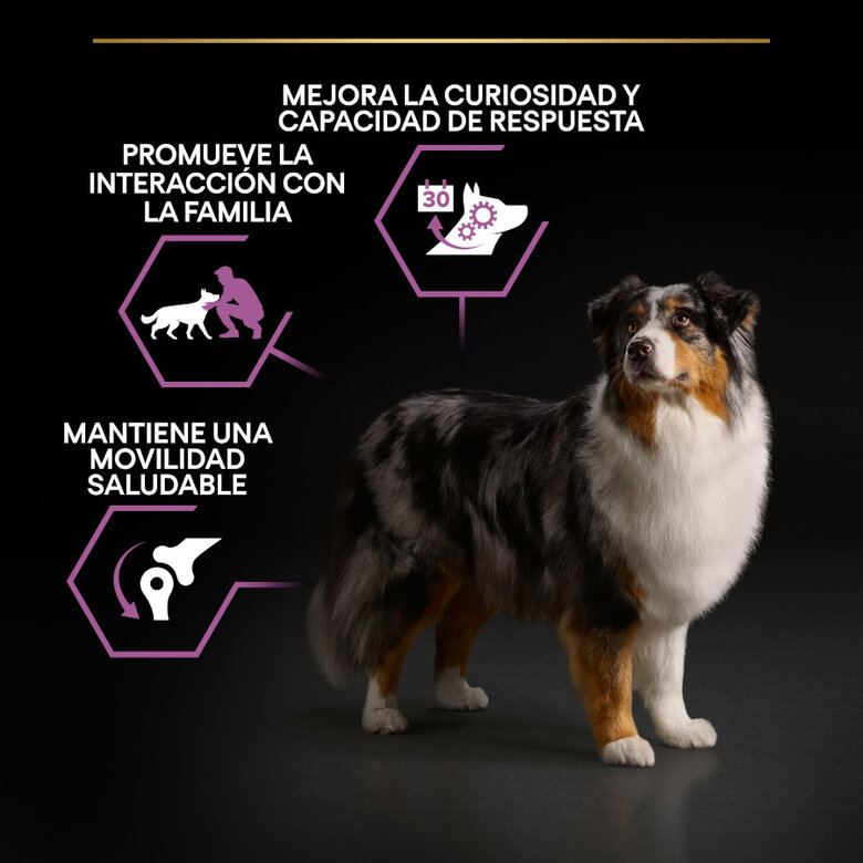14 kg Pro Plan Adult Medium Y Large Frango ração para cães seniores,  Imagem número 3 14 kg Pro Plan Adult Medium Y Large Frango ração para cães seniores, , large Imagem número 3