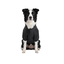 Gotoo Casaco Imperme&aacute;vel Refletor Preto para c&atilde;es, , large Indicador imagem n&uacute;mero 7