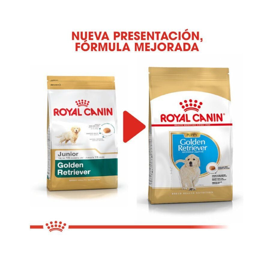12 kg Royal Canin Puppy Golden Retriever ra&ccedil;&atilde;o para c&atilde;es, , large Imagem n&uacute;mero 3
