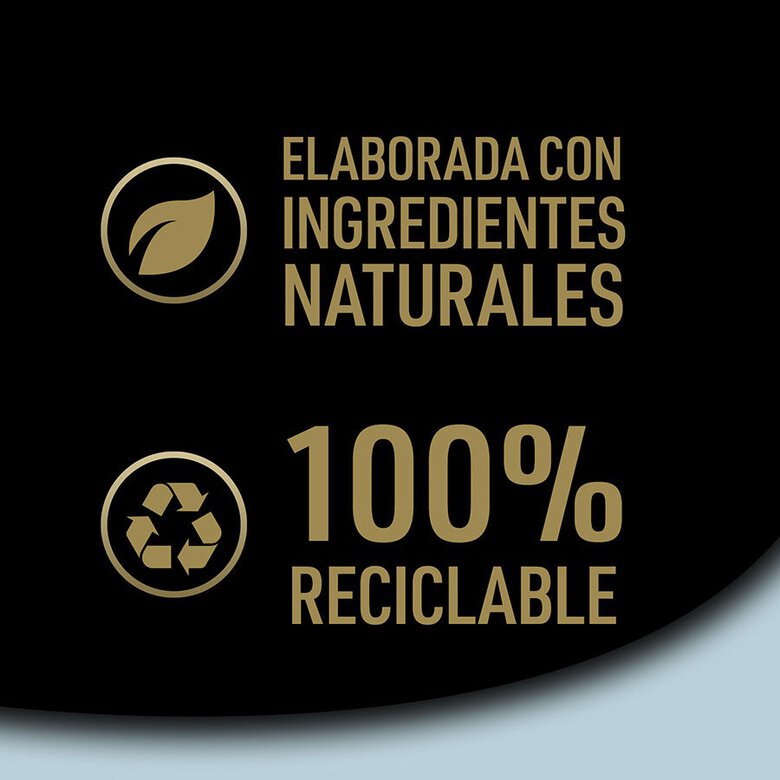 4 terrinas x 150 g Cesar Mistura de Carnes Terrina em Geleia para Cães Sénior - Multipack,  Imagem número 7 4 terrinas x 150 g Cesar Mistura de Carnes Terrina em Geleia para Cães Sénior - Multipack, , large Imagem número 7