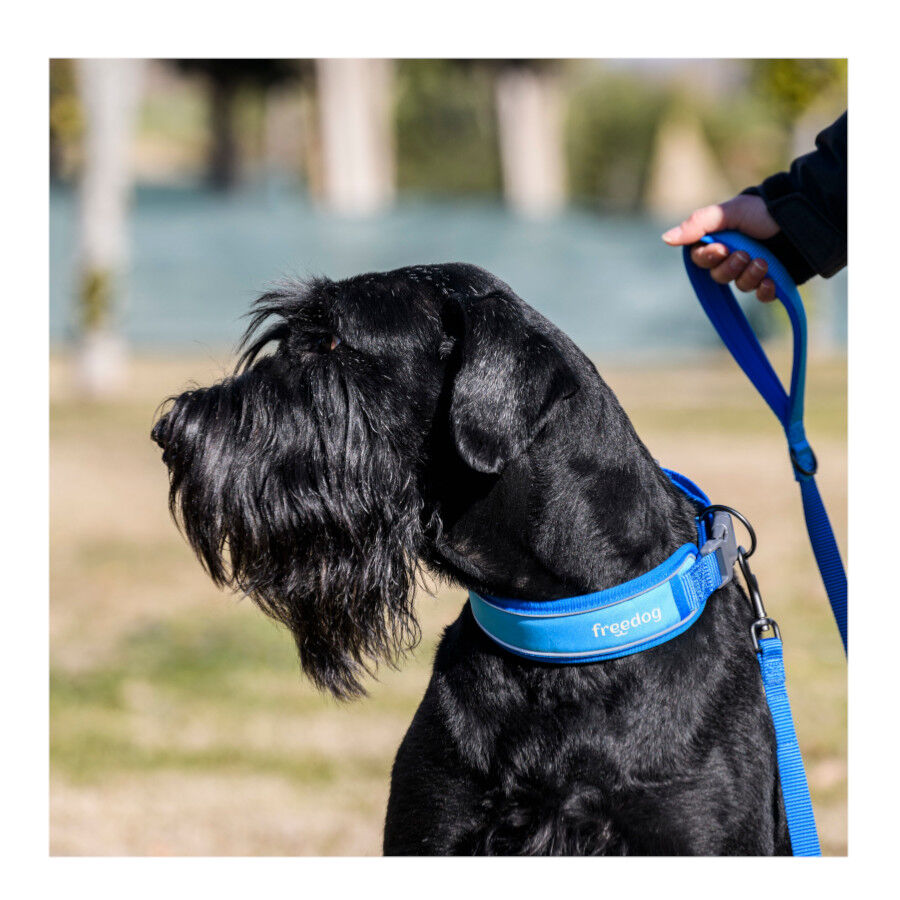 Freedog Cool Pro Tech Trela Azul para c&atilde;es, , large Imagem n&uacute;mero 2