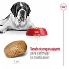 Royal Canin Adult Giant ração para cães, , large image number null