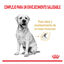 12 kg Royal Canin Adult 5+ Labrador ração para cães, , large Indicador imagem número 3