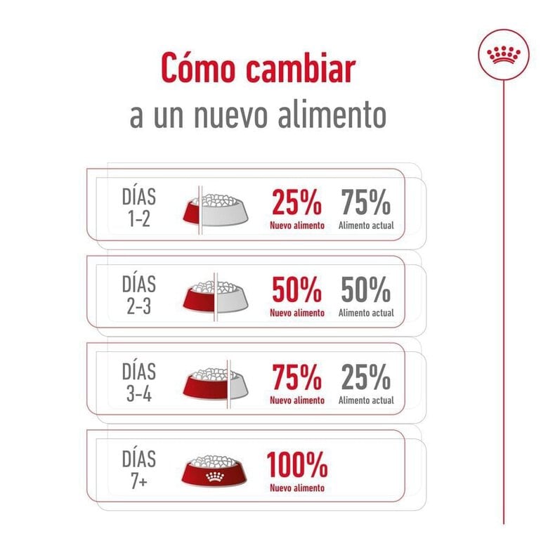 15 kg Royal Canin Medium 7+ Adult ração para cães seniores,  Imagem número 11 15 kg Royal Canin Medium 7+ Adult ração para cães seniores, , large Imagem número 11