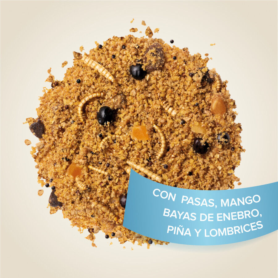 Beaphar Universal Food pasta para p&aacute;ssaros, , large Imagem n&uacute;mero 4