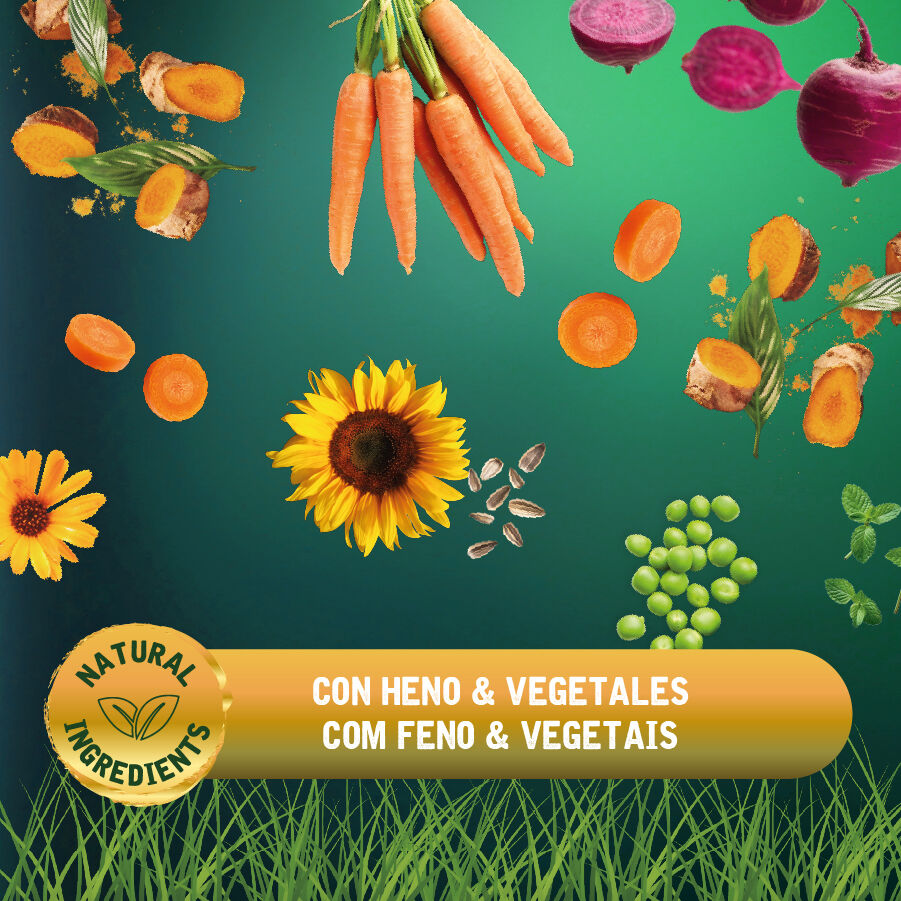 0.8 kg Small Life Premium Men&uacute; Comida para Porquinhos-da-&Iacute;ndia, , large Imagem n&uacute;mero 4