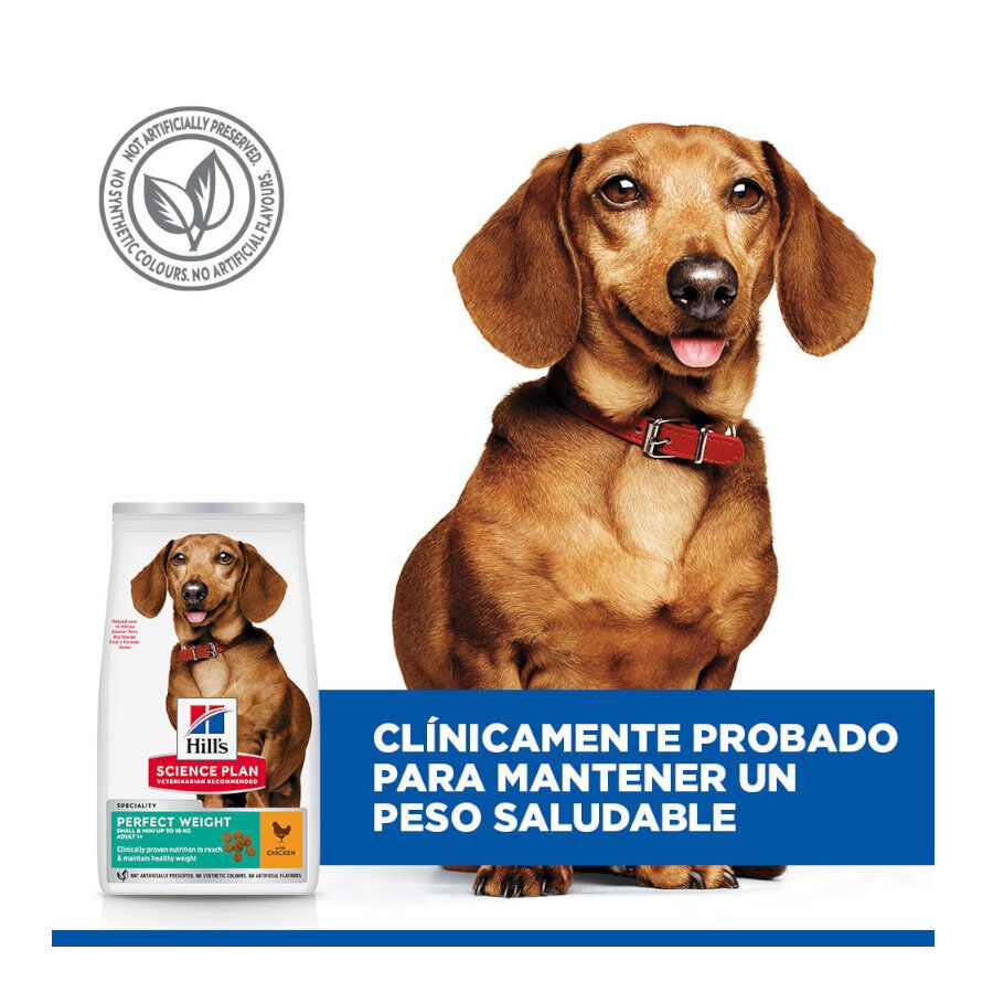 6 kg Hill's Science Plan Perfect Weight Adult Small & Mini Ra&ccedil;&atilde;o para c&atilde;es, , large Imagem n&uacute;mero 5