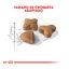 2 x 10 kg Royal Canin Regular Sensible 33 ração para gatos Pack poupança!, , large Indicador imagem número 3