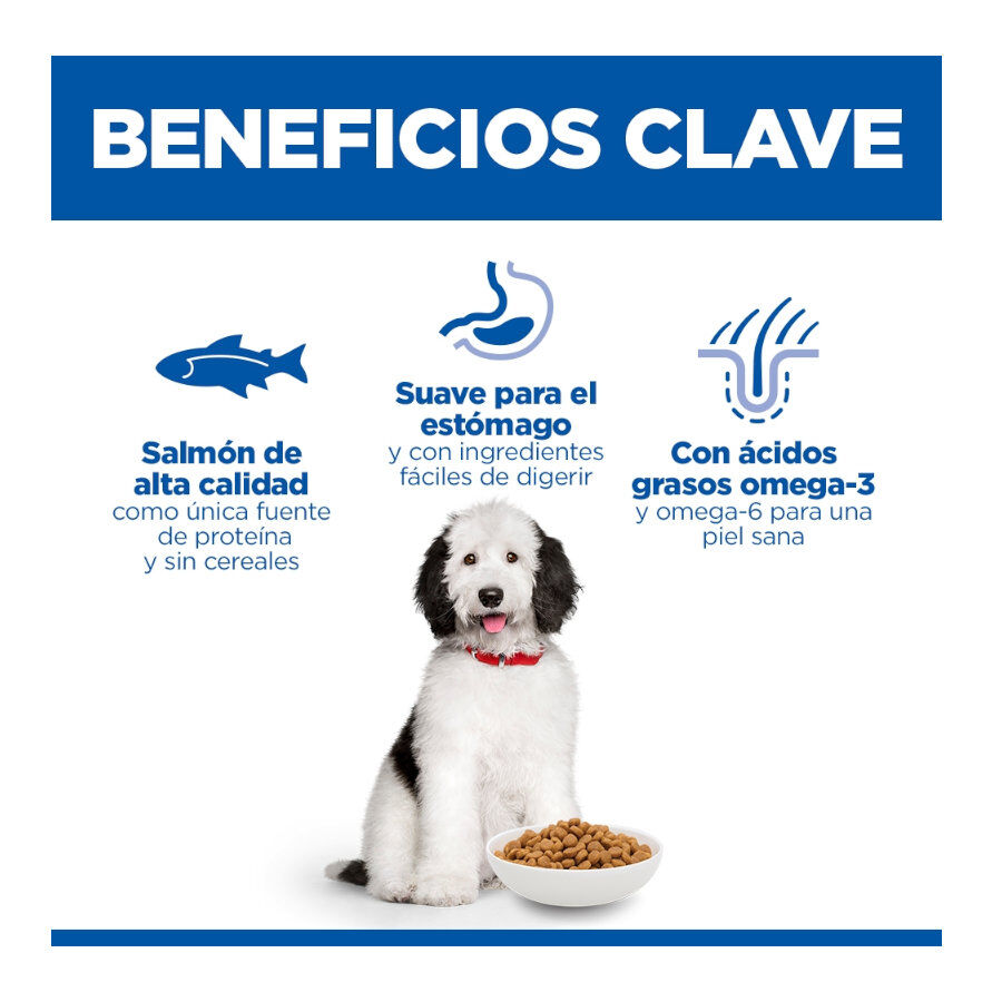 14 kg Hill's Science Plan Hipoalerg&eacute;nico Large Salm&atilde;o ra&ccedil;&atilde;o para c&atilde;es, , large Imagem n&uacute;mero 3