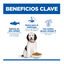 14 kg Hill's Science Plan Hipoalerg&eacute;nico Large Salm&atilde;o ra&ccedil;&atilde;o para c&atilde;es, , large Indicador imagem n&uacute;mero 3