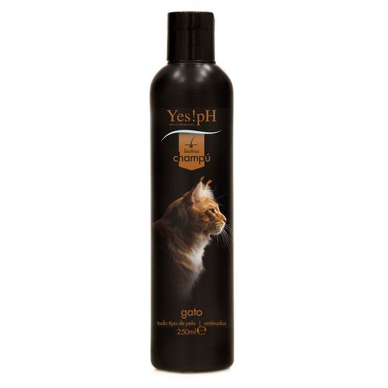 champu_gatos_yes!ph_antinudos_YESTA38NCHGG_M Imagem número 1 Yes!pH antinudos champú para gatos Imagem número 1