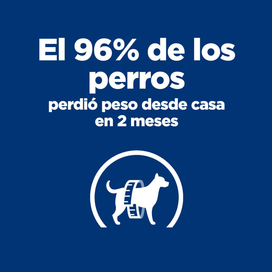 370 g Hill's Prescription Diet Metabolic Lata de carne e vegetais para c&atilde;es, , large Imagem n&uacute;mero 3