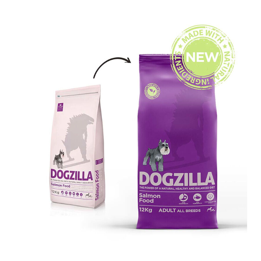 12 kg Dogzilla Adult Salm&atilde;o ra&ccedil;&atilde;o para c&atilde;es, , large Imagem n&uacute;mero 2