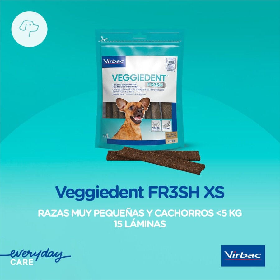 15 sticks Virbac Snacks Dent&aacute;rios VeggieDent Fresh para c&atilde;es mini, , large Imagem n&uacute;mero 3