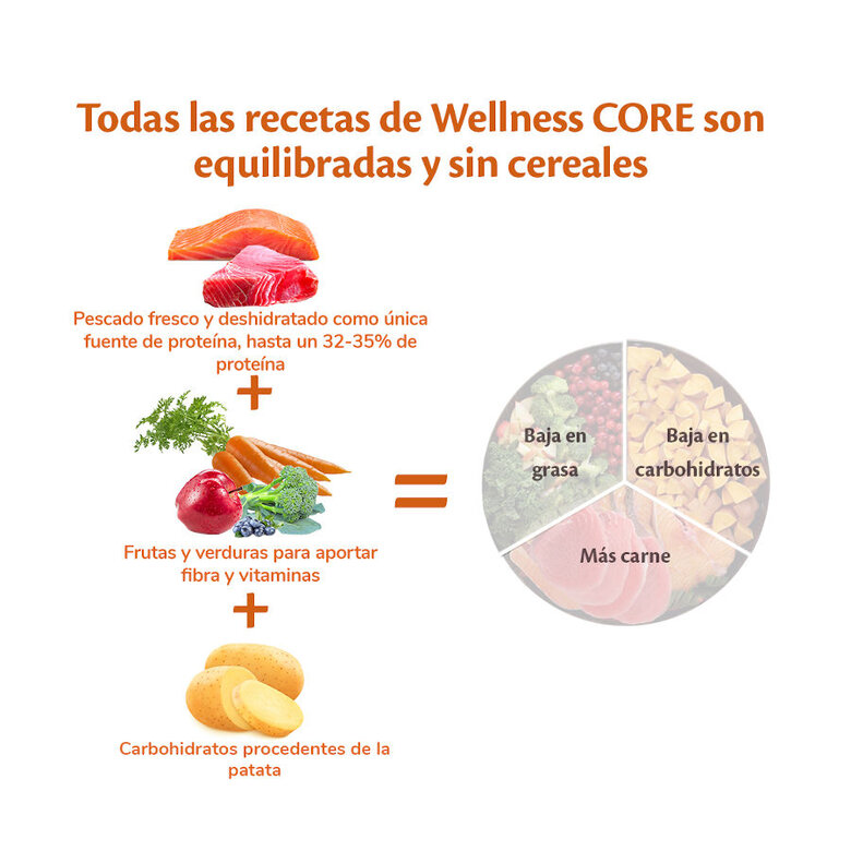 Wellness Core Adult Medium/Large Ocean Salmão e Atum ração para cães , , large image number null