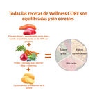 Wellness Core Adult Medium/Large Ocean Salmão e Atum ração para cães , , large image number null