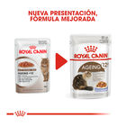 Royal Canin Senior +12 gelatina sobres para gatos , , large image number null