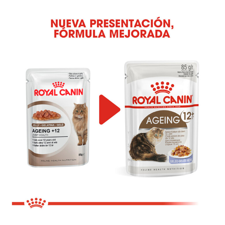 85 g Royal Canin Ageing 12+ gelatina saquetas para gatos,  Imagem número 3 85 g Royal Canin Ageing 12+ gelatina saquetas para gatos, , large Imagem número 3