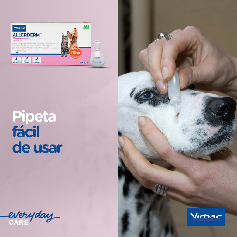 Virbac Allerderm Pipetas dermatológicas Allerderm Spot-On para cães e gatos,  Imagem número 3 Virbac Allerderm Pipetas dermatológicas Allerderm Spot-On para cães e gatos, , large Imagem número 3