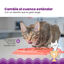 Outward Hound Catstages Fishie Fun Peixe Brinquedo Dispensador de alimentos para gatos, , large Indicador imagem número 5