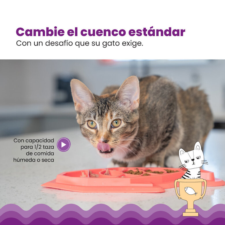 Catstages Fishie Fun Peixe Brinquedo Dispensador de alimentos para gatos,  Imagem número 5 Catstages Fishie Fun Peixe Brinquedo Dispensador de alimentos para gatos, , large Imagem número 5