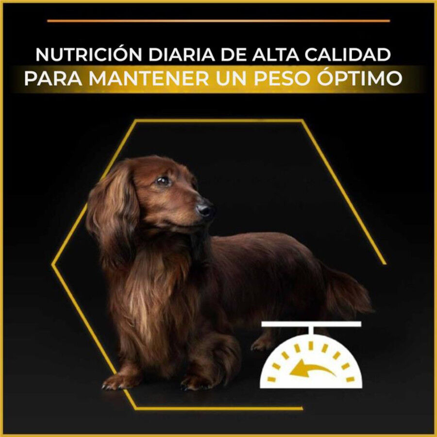 Purina Pro Plan Adult Light Esterilizado Ra&ccedil;&atilde;o de frango para c&atilde;es, , large Imagem n&uacute;mero 3