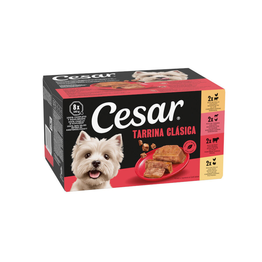 8 terrinas x 150 g Cesar Sele&ccedil;&atilde;o Cl&aacute;ssicos Terrina em Pat&ecirc; para C&atilde;es - Multipack, , large Imagem n&uacute;mero 1