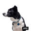 Gotoo Coleira mesh turquesa para cães, , large Indicador imagem número 7