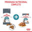 10 kg Royal Canin Intense Hairball ração para gatos, , large Indicador imagem número 7