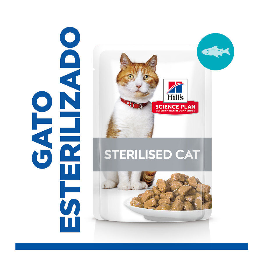 85 g Hill's Young Adult Science Plan Sterilised Truta Saqueta em Molho para gatos, , large Imagem n&uacute;mero 2