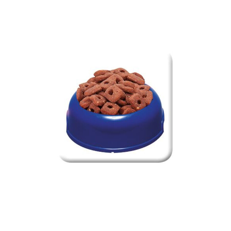 1 kg Beaphar  SuperLekker Biscoitos para c&atilde;es, , large Imagem n&uacute;mero 2