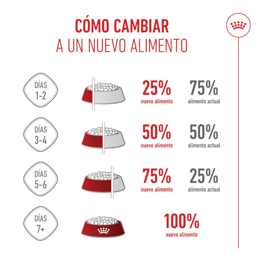 15 kg Royal Canin Puppy Medium ra&ccedil;&atilde;o para c&atilde;es, , large Imagem n&uacute;mero 9