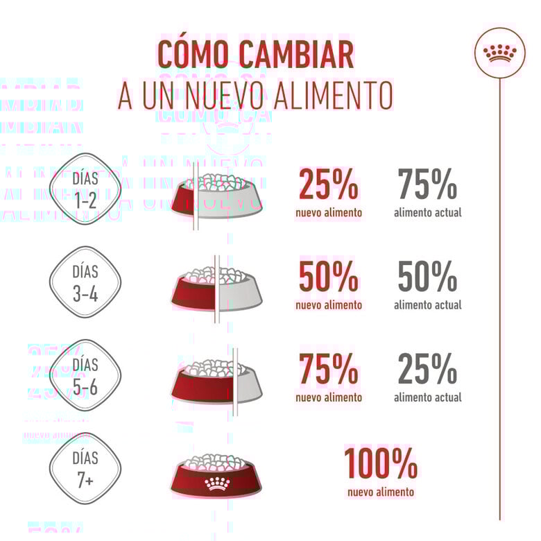 15 kg Royal Canin Puppy Medium ração para cães,  Imagem número 9 15 kg Royal Canin Puppy Medium ração para cães, , large Imagem número 9