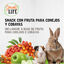 2 barritas Small Life Barritas Snack com Fruta para coelhos e Porquinhos da &Iacute;ndia, , large Indicador imagem n&uacute;mero 4