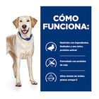 Hill's Prescription Diet Food Sensitive Pato ração para cães, , large image number null