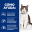 3 kg Hill's Prescription Diet Gastrointestinal Biome Stress para gatos, , large Indicador imagem número 4